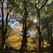 ヒメ日記 2024/12/30 11:04 投稿 白石あすか セクシーキャット 神田店