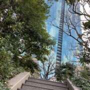 ヒメ日記 2025/01/09 11:08 投稿 白石あすか セクシーキャット 神田店