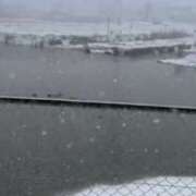 ヒメ日記 2025/01/10 10:57 投稿 白石あすか セクシーキャット 神田店