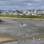 ヒメ日記 2025/01/21 11:43 投稿 白石あすか セクシーキャット 神田店