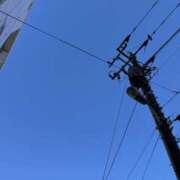 ヒメ日記 2025/02/04 10:50 投稿 白石あすか セクシーキャット 神田店