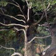 ヒメ日記 2025/02/25 23:08 投稿 白石あすか セクシーキャット 神田店