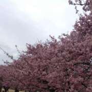 ヒメ日記 2025/03/13 14:57 投稿 白石あすか セクシーキャット 神田店