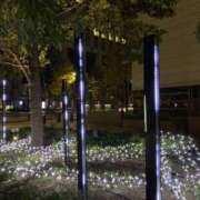 ヒメ日記 2025/03/17 23:11 投稿 白石あすか セクシーキャット 神田店