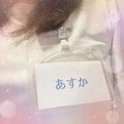 ヒメ日記 2025/04/08 16:00 投稿 白石あすか セクシーキャット 神田店