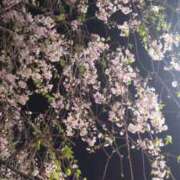 ヒメ日記 2025/04/08 23:13 投稿 白石あすか セクシーキャット 神田店