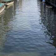 ヒメ日記 2025/04/11 11:41 投稿 白石あすか セクシーキャット 神田店