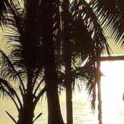 ヒメ日記 2025/04/11 23:32 投稿 白石あすか セクシーキャット 神田店