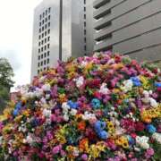 ヒメ日記 2025/04/14 12:32 投稿 白石あすか セクシーキャット 神田店