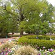 ヒメ日記 2025/04/19 17:08 投稿 白石あすか セクシーキャット 神田店