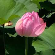 ヒメ日記 2025/05/08 23:05 投稿 白石あすか セクシーキャット 神田店