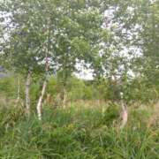 ヒメ日記 2025/05/09 12:15 投稿 白石あすか セクシーキャット 神田店