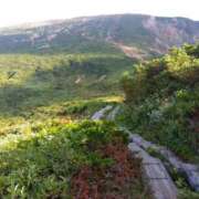 ヒメ日記 2025/05/12 10:48 投稿 白石あすか セクシーキャット 神田店