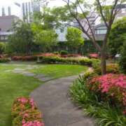 ヒメ日記 2025/05/16 23:14 投稿 白石あすか セクシーキャット 神田店