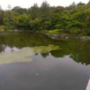 ヒメ日記 2025/06/03 12:18 投稿 白石あすか セクシーキャット 神田店