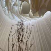 ヒメ日記 2025/06/03 23:09 投稿 白石あすか セクシーキャット 神田店