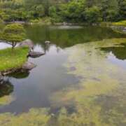 ヒメ日記 2025/06/09 10:46 投稿 白石あすか セクシーキャット 神田店