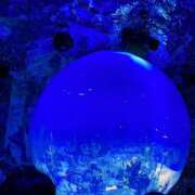 ヒメ日記 2025/06/09 23:06 投稿 白石あすか セクシーキャット 神田店