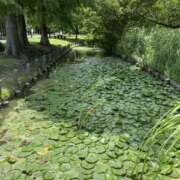 ヒメ日記 2025/06/19 10:42 投稿 白石あすか セクシーキャット 神田店