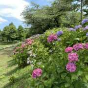 ヒメ日記 2025/07/01 10:49 投稿 白石あすか セクシーキャット 神田店