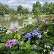 ヒメ日記 2025/07/10 10:53 投稿 白石あすか セクシーキャット 神田店