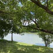 ヒメ日記 2025/08/01 11:18 投稿 白石あすか セクシーキャット 神田店