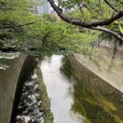 ヒメ日記 2025/08/07 11:24 投稿 白石あすか セクシーキャット 神田店