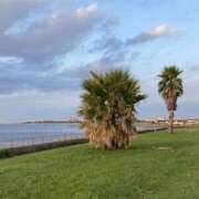 ヒメ日記 2025/08/18 11:00 投稿 白石あすか セクシーキャット 神田店