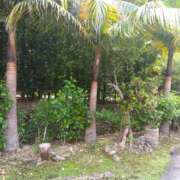 ヒメ日記 2025/08/29 10:23 投稿 白石あすか セクシーキャット 神田店