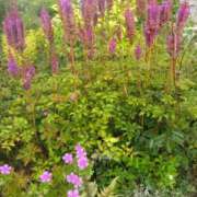 ヒメ日記 2025/09/05 11:14 投稿 白石あすか セクシーキャット 神田店