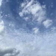 ヒメ日記 2025/09/29 10:42 投稿 白石あすか セクシーキャット 神田店