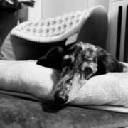 ヒメ日記 2025/10/14 16:00 投稿 白石あすか セクシーキャット 神田店