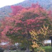 ヒメ日記 2025/10/28 11:05 投稿 白石あすか セクシーキャット 神田店