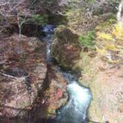 ヒメ日記 2025/10/31 11:46 投稿 白石あすか セクシーキャット 神田店