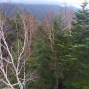 ヒメ日記 2025/11/03 10:45 投稿 白石あすか セクシーキャット 神田店