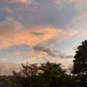 ヒメ日記 2025/11/04 23:06 投稿 白石あすか セクシーキャット 神田店