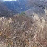 ヒメ日記 2025/11/07 10:34 投稿 白石あすか セクシーキャット 神田店