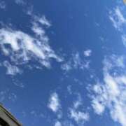 ヒメ日記 2025/11/10 11:15 投稿 白石あすか セクシーキャット 神田店