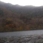 ヒメ日記 2025/11/14 11:10 投稿 白石あすか セクシーキャット 神田店