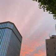 ヒメ日記 2025/11/14 22:54 投稿 白石あすか セクシーキャット 神田店