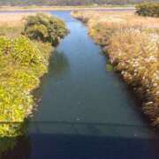 ヒメ日記 2025/11/27 11:07 投稿 白石あすか セクシーキャット 神田店