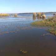 ヒメ日記 2025/11/28 13:10 投稿 白石あすか セクシーキャット 神田店