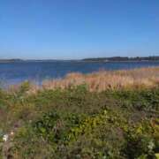 ヒメ日記 2025/11/30 20:34 投稿 白石あすか セクシーキャット 神田店