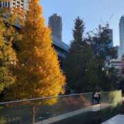 ヒメ日記 2025/12/04 10:54 投稿 白石あすか セクシーキャット 神田店