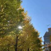 ヒメ日記 2025/12/05 10:44 投稿 白石あすか セクシーキャット 神田店