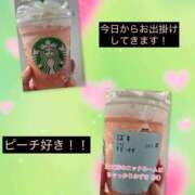 ヒメ日記 2026/06/24 07:46 投稿 みずき マダム可憐