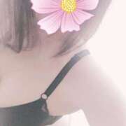 ヒメ日記 2025/05/08 11:50 投稿 チアキ 人妻生レンタル