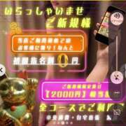 ヒメ日記 2025/05/08 14:30 投稿 チアキ 人妻生レンタル