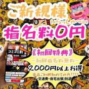 ヒメ日記 2025/07/02 13:04 投稿 チアキ 人妻生レンタル