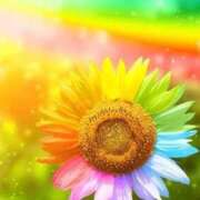 ヒメ日記 2025/09/06 14:55 投稿 チアキ 人妻生レンタル